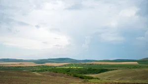 migration jigsaw puzzle