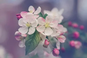 Marivi Pazos jigsaw puzzle