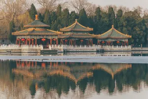 Zhang kaiyv jigsaw puzzle