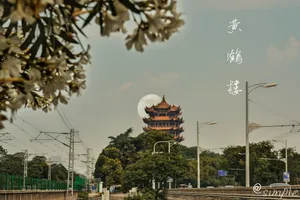 Zhang Wenzhao jigsaw puzzle