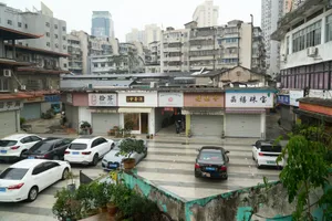 Wang xuesong jigsaw puzzle