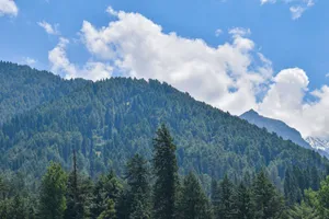 Breathtaking view of lush green forest and mountains under a clear blue sky in Kashmir, India. jigsaw puzzle