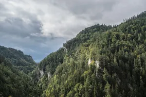 Explore the serene beauty of densely forested mountains under a cloudy sky, showcasing nature's tranquility. jigsaw puzzle