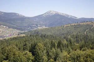 Stunning landscape of Carpathian Mountains with dense forests and clear skies. jigsaw puzzle
