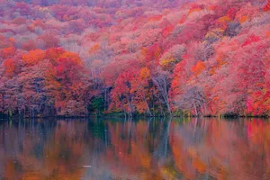 autumn jigsaw puzzle
