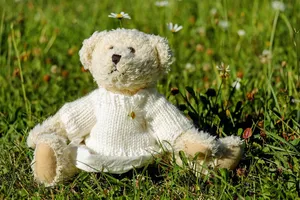 teddy jigsaw puzzle