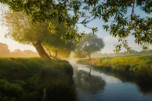 river beside trees and grass field jigsaw puzzle