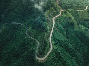 aerial photography of roadway jigsaw puzzle