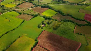 aerial view of green grass field jigsaw puzzle