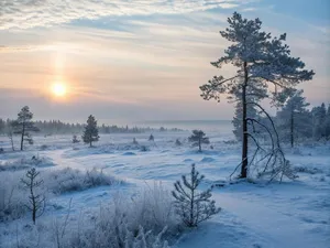 winter jigsaw puzzle
