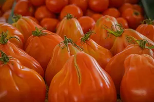 tomatoes jigsaw puzzle