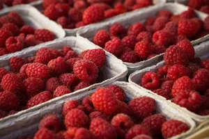 raspberries jigsaw puzzle