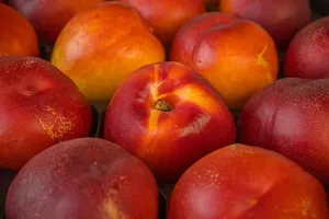 nectarine jigsaw puzzle