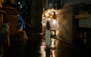 Woman with clear umbrella walks down wet alley at night. jigsaw puzzle