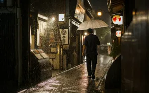 A person walks rainy street at night holding an umbrella. jigsaw puzzle