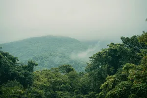 a view of a forest with a mountain in the background jigsaw puzzle