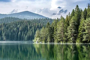 a lake with trees and mountains in the background jigsaw puzzle