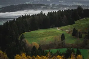 a landscape with trees and hills jigsaw puzzle
