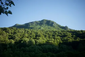 A mountain with trees on the side of it jigsaw puzzle