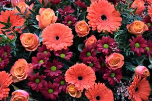pink and yellow flowers with green leaves jigsaw puzzle