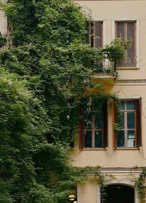 Charming Istanbul facade covered in vibrant ivy, showcasing classic architectural details. jigsaw puzzle