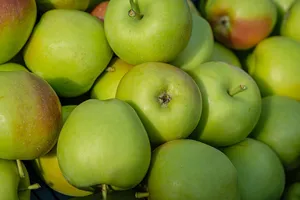 apples jigsaw puzzle
