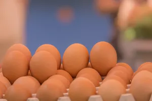 egg jigsaw puzzle