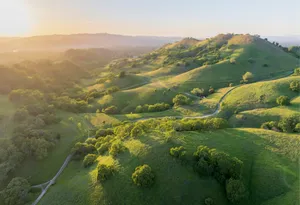 Green rolling hills at sunset in oakland jigsaw puzzle