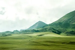 bird's eye view of grassland beside mountain jigsaw puzzle
