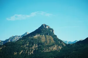 mountain covered by trees and plants jigsaw puzzle