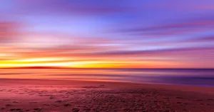 view of seashore sunset jigsaw puzzle
