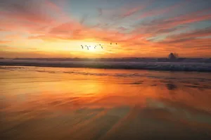 shoreline during golden hour jigsaw puzzle
