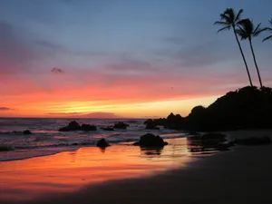 seashore under sunset jigsaw puzzle