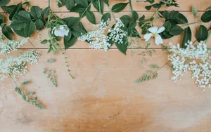 white petaled flowers with green leaves jigsaw puzzle