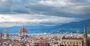 a view of a city with mountains in the background jigsaw puzzle