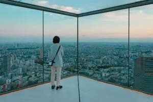 A person gazes over Tokyo's skyline from Shibuya Sky during sunset. jigsaw puzzle