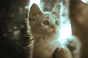 Charming kitten with whiskers in a dreamy vintage setting. jigsaw puzzle