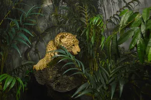 A powerful leopard camouflaged within dense jungle leaves, showcasing nature's raw beauty and mystery. jigsaw puzzle