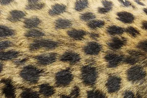 Detailed close-up of leopard fur showing distinct spotted pattern and textured surface. jigsaw puzzle