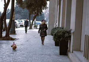 A senior woman walking her small dog on a city sidewalk on a chilly day. jigsaw puzzle