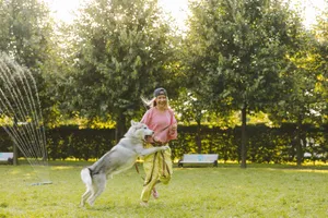 Woman and husky dog enjoy playful moment in a sunlit park with green grass and trees. jigsaw puzzle