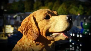 Close-up of a detailed golden retriever sculpture in an outdoor setting. jigsaw puzzle