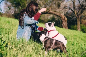 A woman enjoys a sunny day in the park with two French Bulldogs, creating a serene outdoor scene. jigsaw puzzle