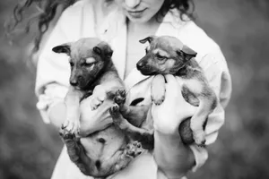 A woman gently holding two adorable puppies, captured in a heartfelt black and white photo. jigsaw puzzle