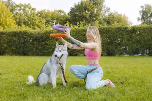 Woman enjoying a playful moment with her husky dog outdoors in a sunny park setting. jigsaw puzzle