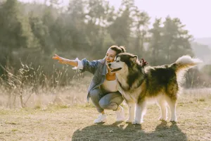 Cheerful woman bonding with a Siberian Husky in a sunlit outdoor setting. jigsaw puzzle