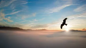 A majestic eagle soars above misty mountains at sunrise in Seewalchen am Attersee, Austria. jigsaw puzzle