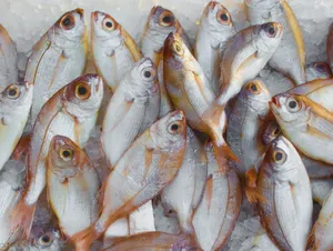 A vibrant display of fresh fish on ice at a seafood market, highlighting marine bounty. jigsaw puzzle