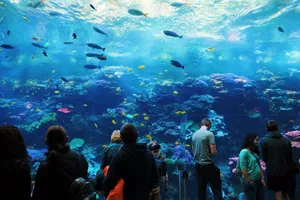 People enjoying the vibrant underwater world at an aquarium. Fish swim amidst colorful coral reefs. jigsaw puzzle