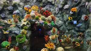 Colorful coral reef with diverse marine life in an aquarium setting. jigsaw puzzle